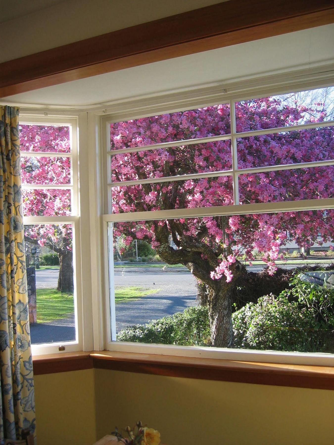 Cheltenham House Hanmer Springs Bagian luar foto